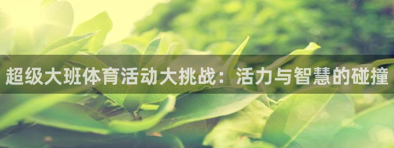 皇冠277体育：超级大班体育活动大挑战：活力与智慧的碰撞