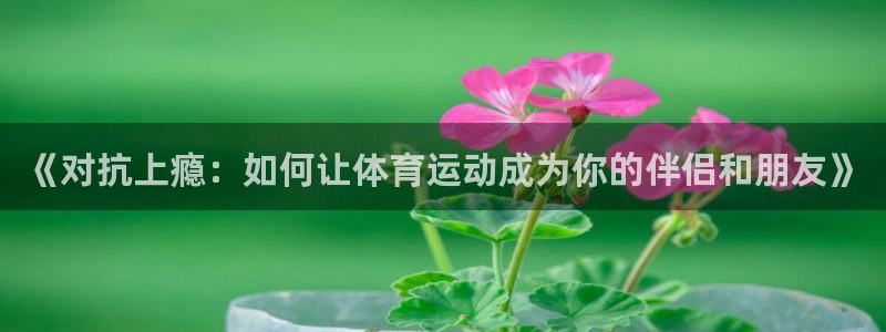 77体育官网