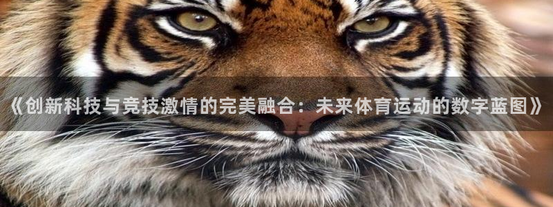 皇冠277体育