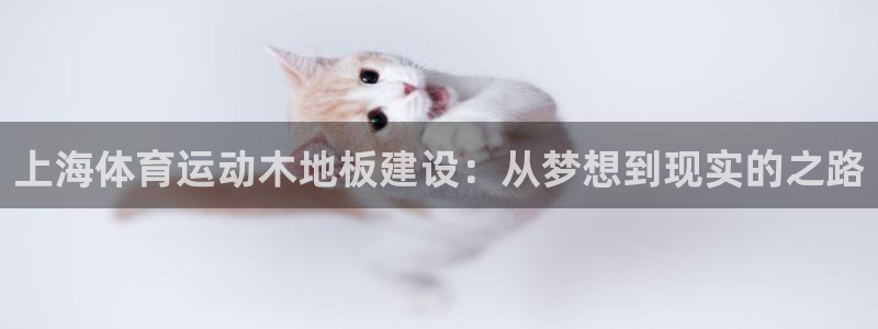 77体育：上海体育运动木地板建设：从梦想到现实的之路